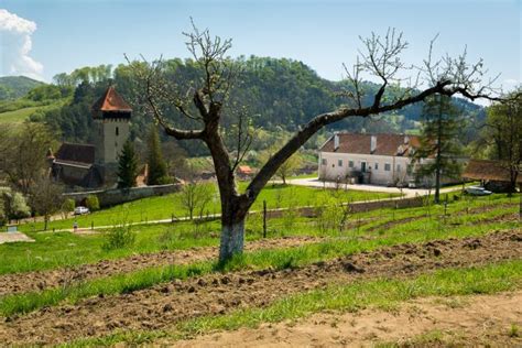 M L Ncrav Satul Izolat Din Sibiu Aflat Pe Harta Turistic A Str Inilor