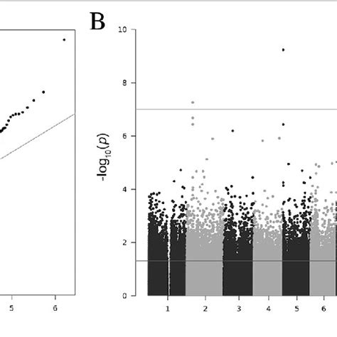 Manhattan And QQ Plots For Epigenome Wide Associations With Smoking