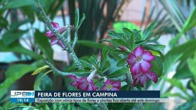 JPB 2ª Edição TV Paraíba Feira de flores em Campina Grande fica