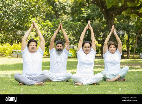 Group Of Indian Senior People Doing Yoga Sitting On Grass Mature Man And Woman Wearing White