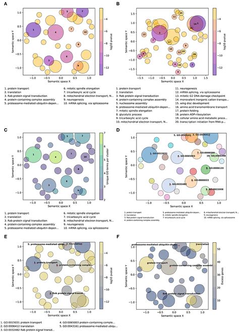 Frontiers Summary Visualizations Of Gene Ontology Terms With GO Figure