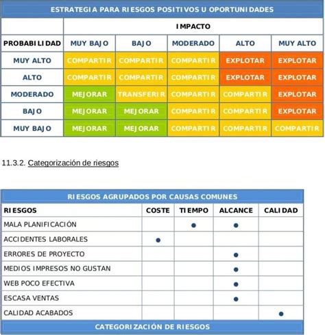 Gestión De Los Riesgos Risk Management Business Management Pmbok