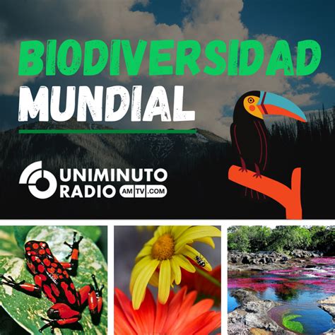 Infograf A Biodiversidad Mundial