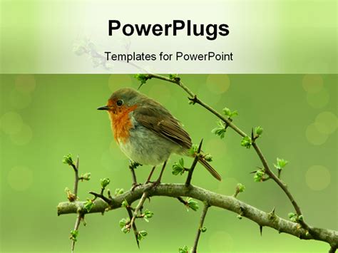 Birds_0403 PowerPoint Template Background of bird, birds, tree - Birds_0403