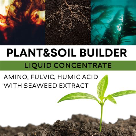 Plant Soil Builder Amino Fulvic Humic Seaweed Extract Liquid GROW