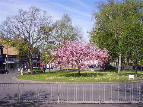 View Of Traffic Island The Green Long Eaton Derbyshire By David