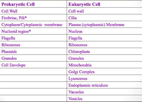 Chapter Characteristics Of Microorganisms Flashcards Quizlet