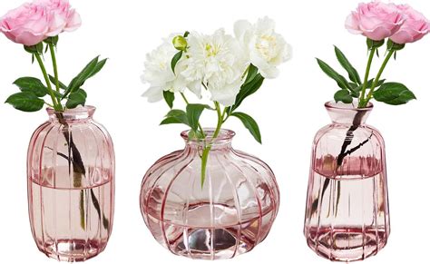 Amazon De Vasen Er Set Kleine Blumenvasen Aus Glas Rosa Mini Vasen