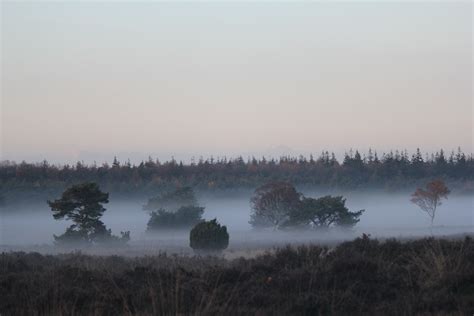 «fog patches» HD Wallpapers