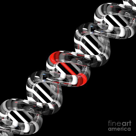 Dna Mutation Photograph by Russell Kightley/science Photo Library