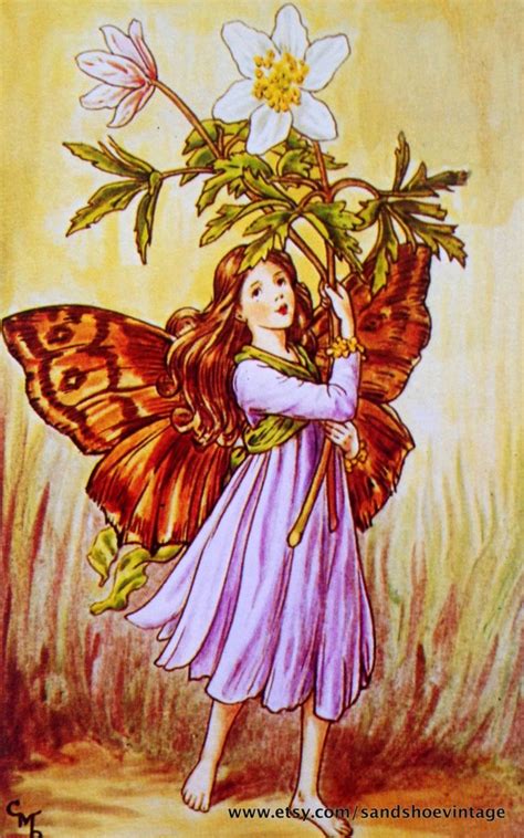 1930s Windflower Fairy Cicely Mary Barker Print Ideal For Framing From