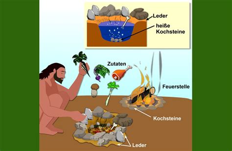 Vom Jäger und Sammler zum Bauern und Viehzüchter WBF Innovative