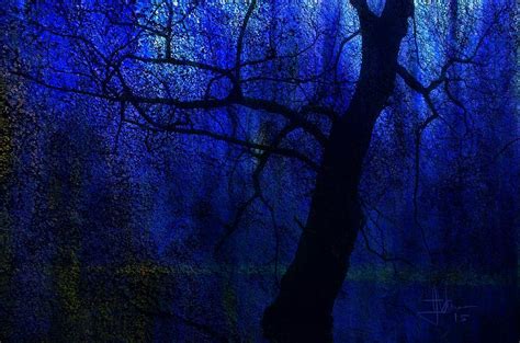 blue silhouette photograph  jim vance fine art america