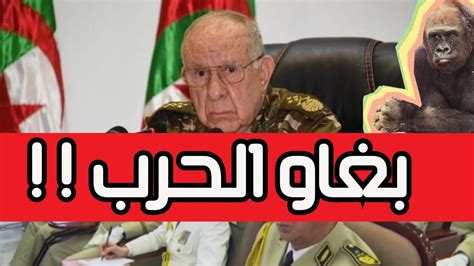 تحليل التمرين التكتيكي في الناحية الثانية شهاب 2024 شنقريحة يريد الحرب