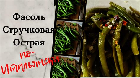 Острая фасоль по-итальянски - пошаговый рецепт с фото