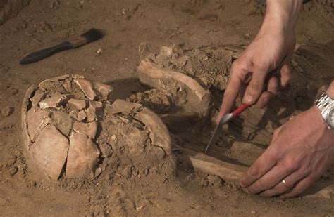 Archaeologists Find Way To Identify Sex Of Cremated Remains