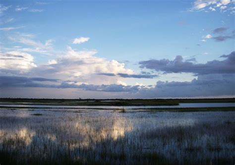 7 incredible sights to see at Big Cypress National Preserve