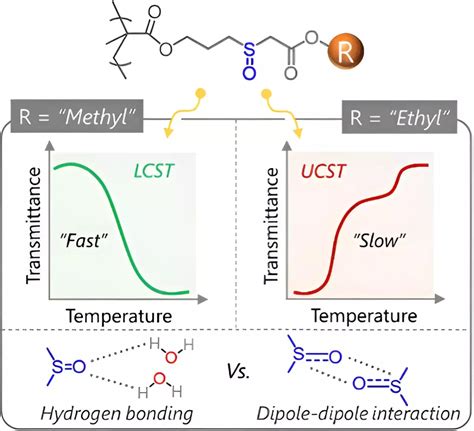 The Versatile Potential Of Temperature Responsive Polymers Science Emerge