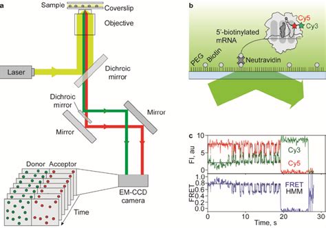 Objective Based Tirf Microscopy For Single Molecule Detection A