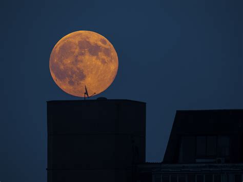 Biggest moon of the century will shine bright this month | FOX31 Denver