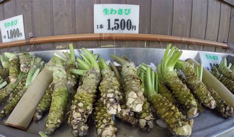 Daio Wasabi Farm Everything You Ever Wanted To Know About Wasabi