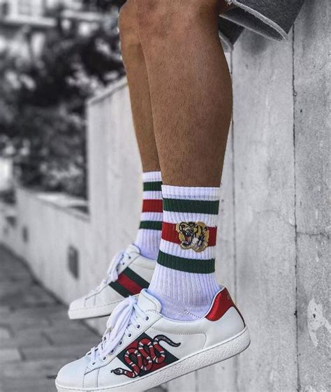 Venta Tenis Gucci Serpiente Hombre En Stock