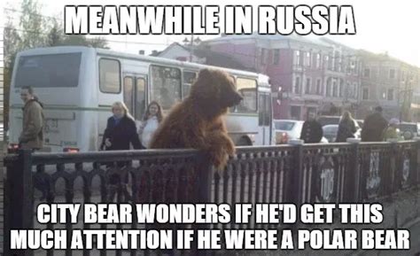 City Bear Memes - Piñata Farms - The best meme generator and meme maker ...