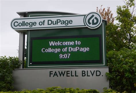 college  dupage artofit