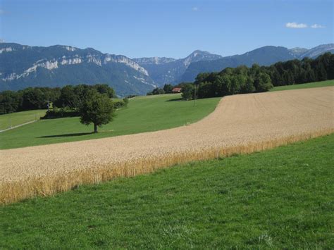 Agroecology Publications • Agroecology Europe