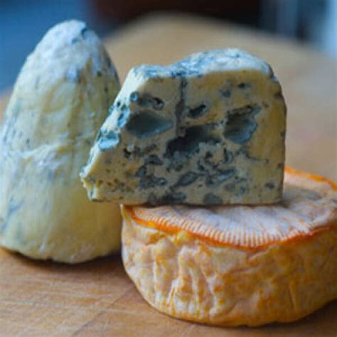 Stinky Cheese Festival - Eat - Thrillist New York