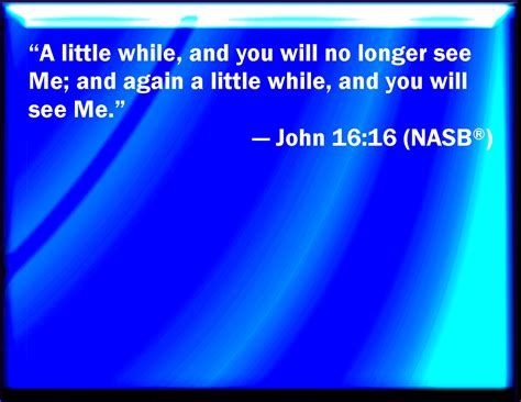 John 16:16 A little while, and you shall not see me: and again, a ...