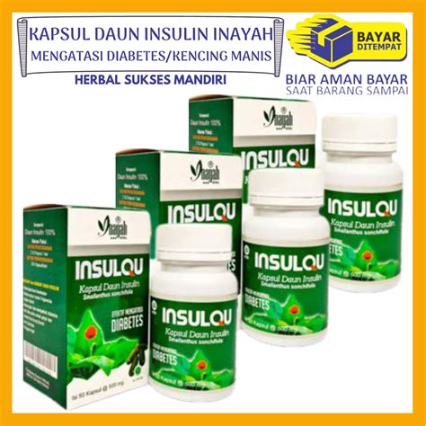 PAKET 3 BOTOL Kapsul Ekstrak Daun Insulin INSULVIT Inayah Insulqu