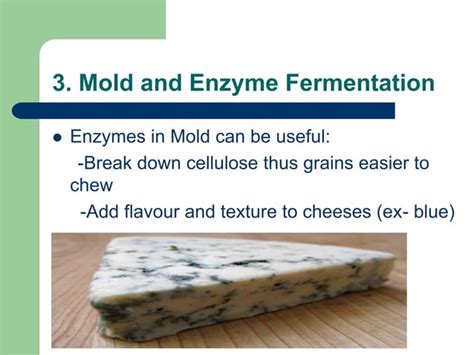 Examples of fermentation- Pharmaceutical Microbiology | PPT | Free Download