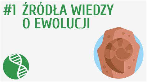 Źródła wiedzy o ewolucji Pi stacja