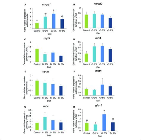 A H Relative Expression Of Myogenic Genes And Markers Of Muscle