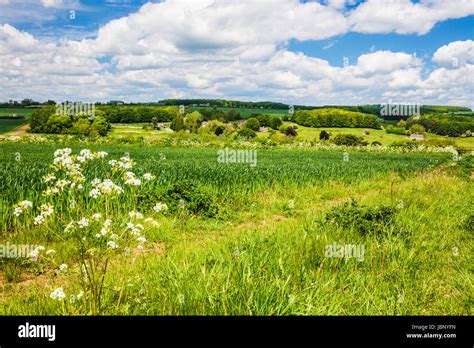 Rolling Cotswold Countryside On A Sunny Day In Late Spring Stock Photo