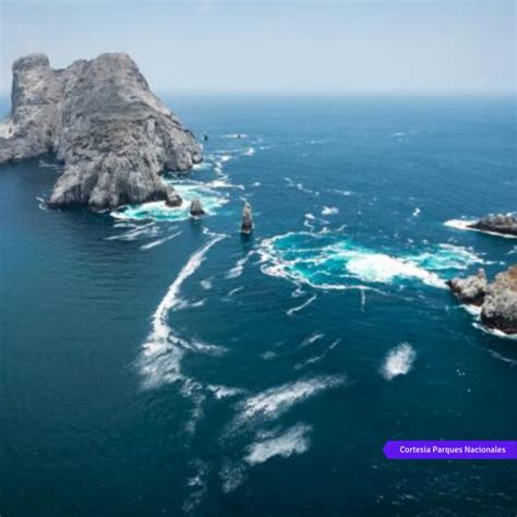 isla malpelo entro en la lista mundial de lugares protegidos larazonco