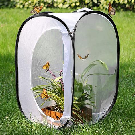 Cage Insectes Pliable Papillon Habitat Maille Surface Transparente