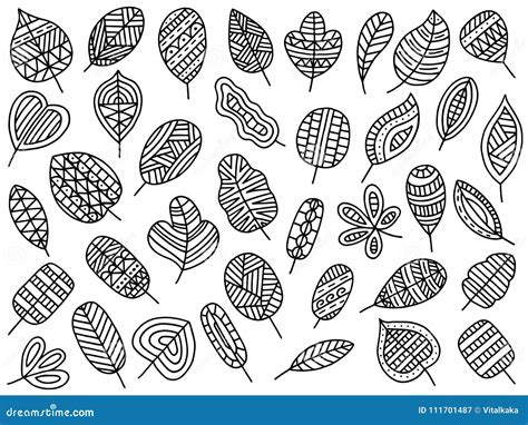 Vector Doodle Leaves Set Stock Vector Illustration Of Design