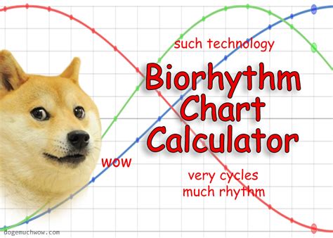 Biorhythm Chart Calculator Online 📈 | Doge Much Wow