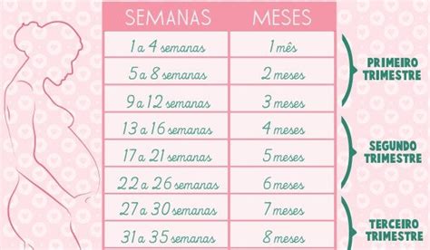Quantos Meses Tem Um Trimestre - 13 semanas sao quantos meses? | BabyCenter
