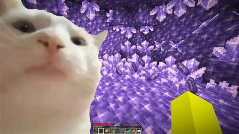 Cat Vibing In Minecraft Meme Compilation Part 2 Youtube