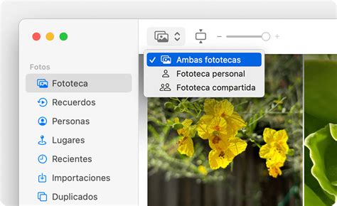 Cómo usar la Fototeca compartida de iCloud Soporte técnico de Apple