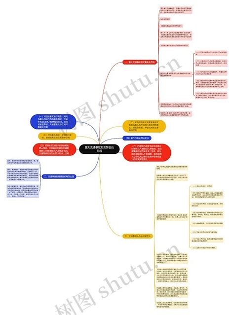 重大交通事故后交警会处罚吗思维导图编号p7054240 Treemind树图