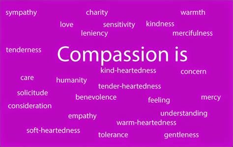 My Faith What Really Does Compassion Mean To Me