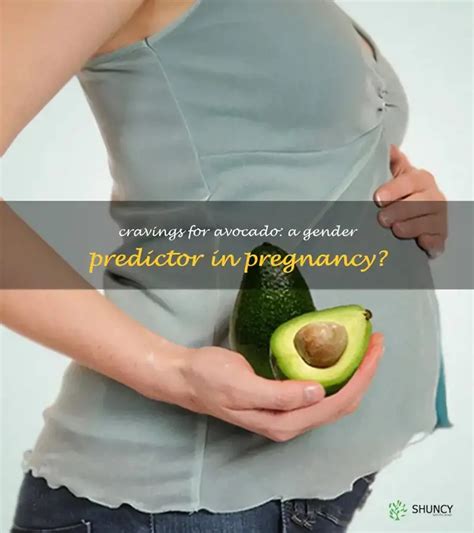 Cravings For Avocado A Gender Predictor In Pregnancy Shuncy