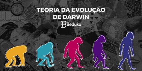 Teoria Da Evolu O De Darwin Saiba Tudo Sobre Ela The Best Porn Website