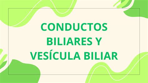 SOLUTION Diapositivas De Conductos Biliares Y Ves Cula Biliar