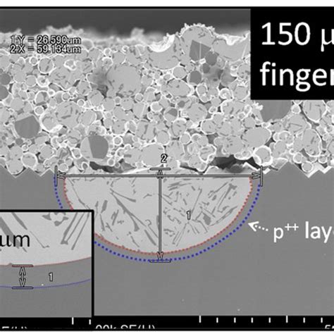 cross sectional sem images  changed metallization formation