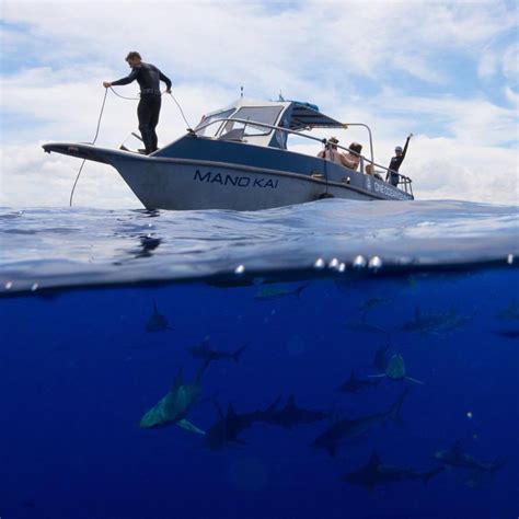 One Ocean Diving - Oahu, Hawaii | Cartogramme